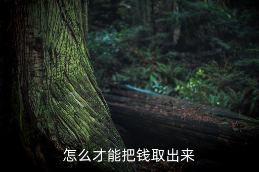 怎么才能把錢取出來