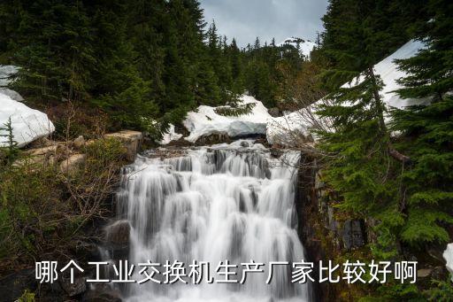 哪個工業(yè)交換機生產廠家比較好啊