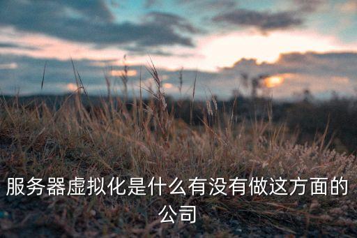 服務(wù)器虛擬化是什么有沒(méi)有做這方面的公司