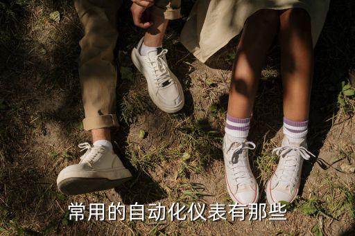 自動化儀器儀表，常用的自動化儀表有那些