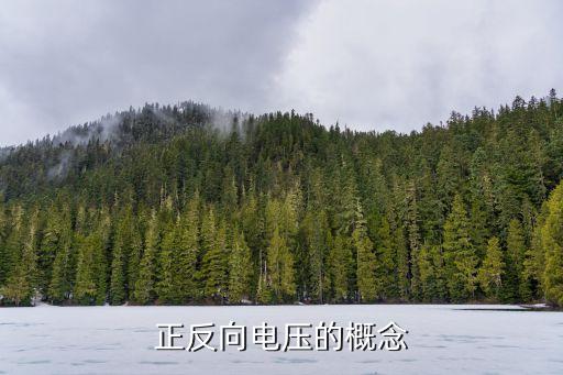 反向電壓，在三極管里面什么叫做反向電壓啊