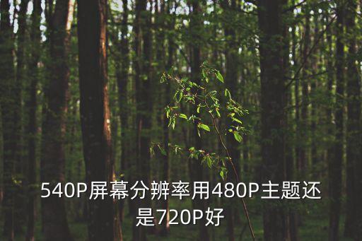 540P屏幕分辨率用480P主題還是720P好