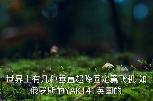 固定翼飛機(jī)，世界上有幾種垂直起降固定翼飛機(jī) 如俄羅斯的YAK141英國(guó)的