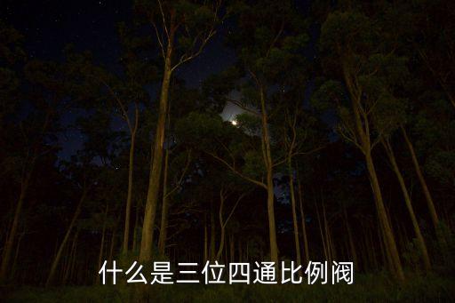 比例閥圖片，燃氣熱水器燃氣電子比例閥與電磁比例閥水氣聯(lián)動閥的內部結構工作原