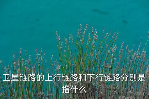 上行鏈路，什么是上行鏈路什么是下行鏈路謝謝