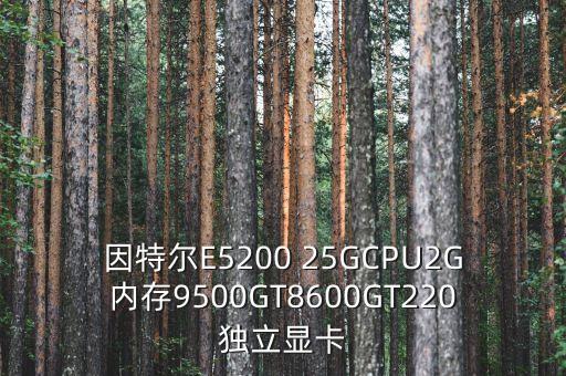 因特爾E5200 25GCPU2G內(nèi)存9500GT8600GT220獨立顯卡