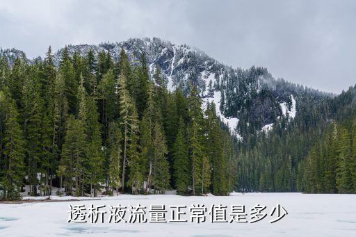 液體流量，透析液流量正常值是多少
