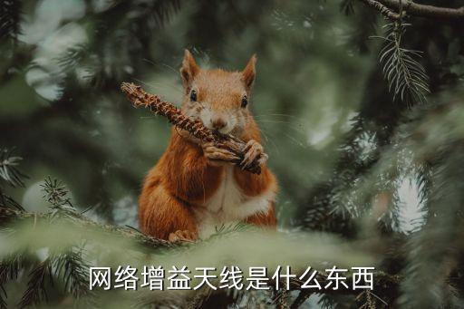 網(wǎng)絡(luò)增益天線(xiàn)是什么東西