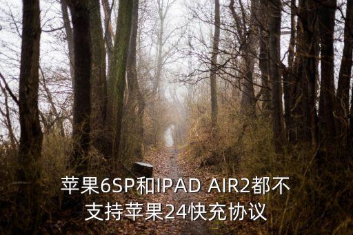 蘋(píng)果6SP和IPAD AIR2都不支持蘋(píng)果24快充協(xié)議