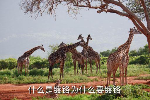 鍍鉻，什么是鍍鉻為什么要鍍鉻