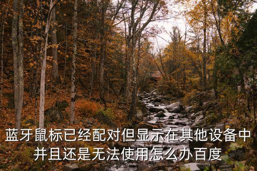 藍(lán)牙鼠標(biāo)已經(jīng)配對但顯示在其他設(shè)備中并且還是無法使用怎么辦百度