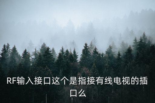 RF輸入接口這個是指接有線電視的插口么