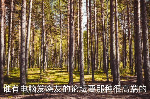 誰有電腦發(fā)燒友的論壇要那種很高端的