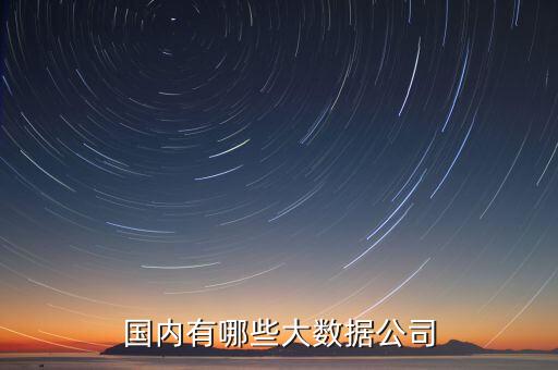 國內(nèi)有哪些大數(shù)據(jù)公司