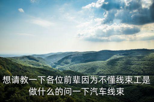 線束加工，什么是線束加工