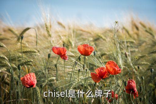 chisel是什么牌子