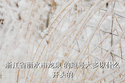 浙江省麗水市龍泉 的短號(hào)大多以什么開(kāi)頭的
