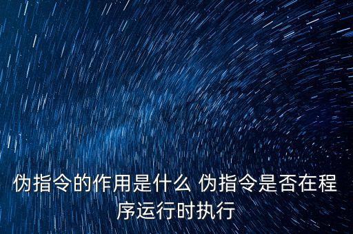 偽指令，偽指令是什么