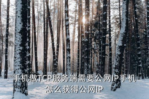 手機(jī)做TCP服務(wù)端需要公網(wǎng)IP手機(jī)怎么獲得公網(wǎng)IP