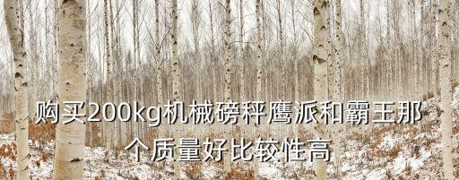 購買200kg機械磅秤鷹派和霸王那個質量好比較性高