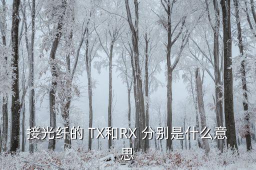 接光纖的 TX和RX 分別是什么意思