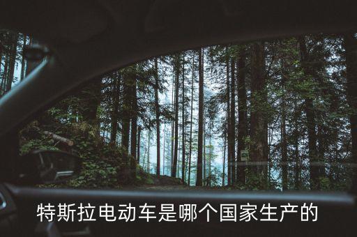 特斯拉電動車是哪個國家生產(chǎn)的