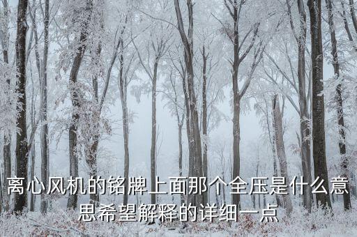 離心風機的銘牌上面那個全壓是什么意思希望解釋的詳細一點