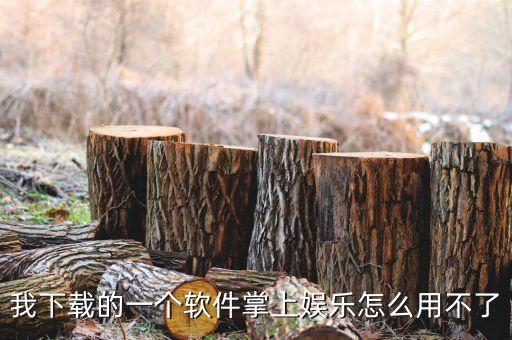 我下載的一個(gè)軟件掌上娛樂(lè)怎么用不了