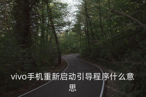 vivo手機重新啟動引導程序什么意思