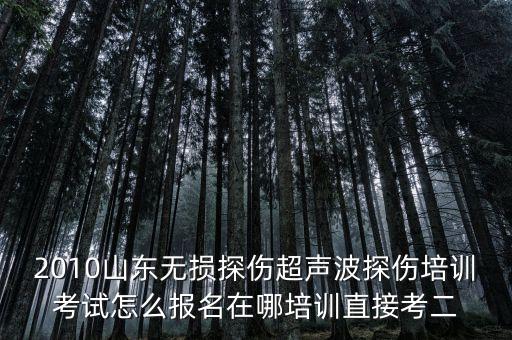 2010山東無(wú)損探傷超聲波探傷培訓(xùn)考試怎么報(bào)名在哪培訓(xùn)直接考二