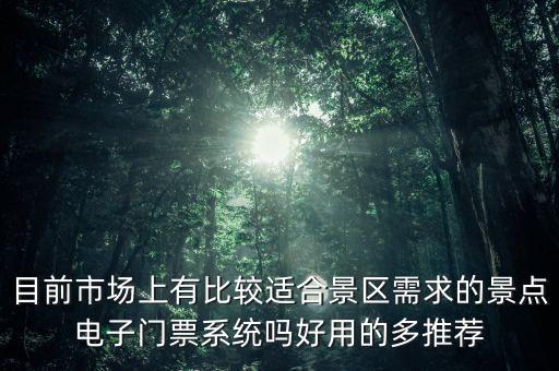 目前市場(chǎng)上有比較適合景區(qū)需求的景點(diǎn)電子門票系統(tǒng)嗎好用的多推薦