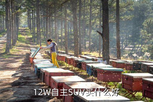 12W自主SUV買什么好