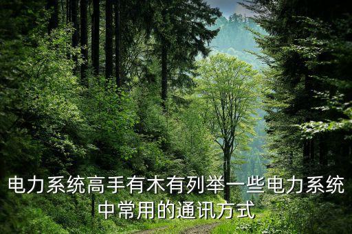 電力通信，什么是電力通信101104
