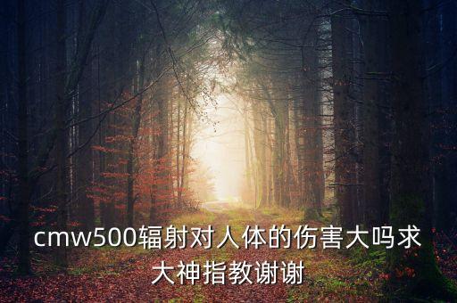 CMW500，CMW500儀器對(duì)人體輻射會(huì)有什么