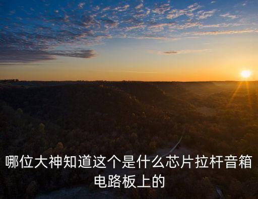 杰理芯片，哪位大神知道這個(gè)是什么芯片拉桿音箱電路板上的