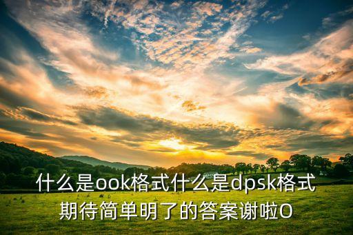 什么是ook格式什么是dpsk格式期待簡(jiǎn)單明了的答案謝啦O