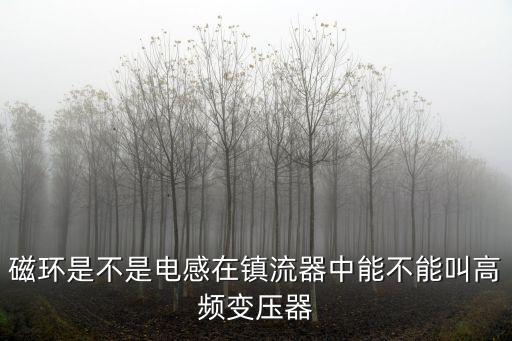 磁環(huán)是不是電感在鎮(zhèn)流器中能不能叫高頻變壓器