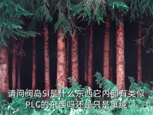 請問閥島SI是什么東西它內(nèi)部有類似PLC的東西嗎還是只是單純