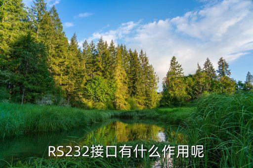 rs232c，Rs232c串行數(shù)據(jù)接口