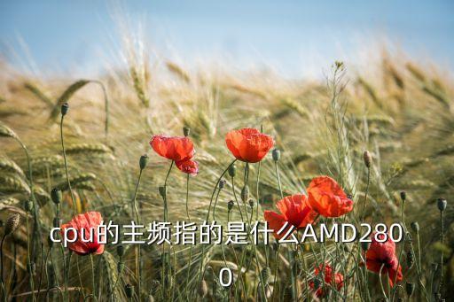 cpu的主頻指的是什么AMD2800