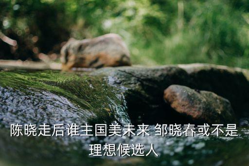 陳曉走后誰主國美未來 鄒曉春或不是理想候選人