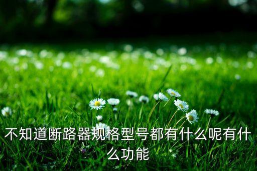 斷路器規(guī)格，斷路器一般都是多大的