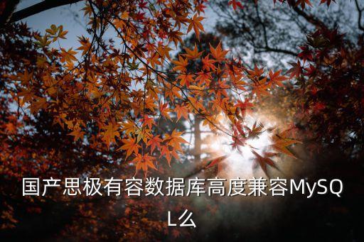 國產(chǎn)思極有容數(shù)據(jù)庫高度兼容MySQL么