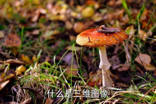 什么是三維圖像