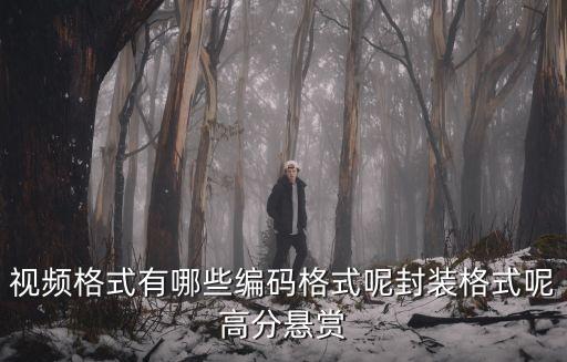 視頻格式有哪些編碼格式呢封裝格式呢高分懸賞