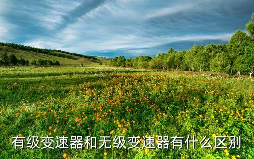 有級變速器和無級變速器有什么區(qū)別