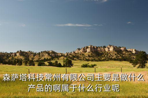 森薩塔，森薩塔科技常州有限公司主要是做什么產(chǎn)品的啊屬于什么行業(yè)呢