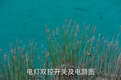 電燈雙控開關(guān)及電路圖