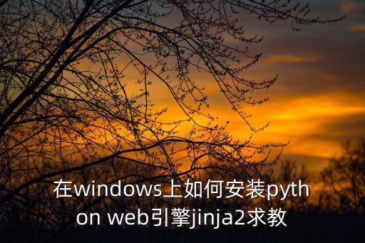 pytorch安裝，python 怎么在線安裝pip