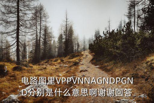電路圖里VPPVNNAGNDPGND分別是什么意思啊謝謝回答
